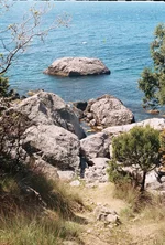 r003-028.webp