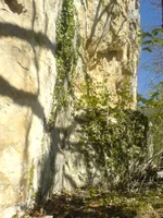 DSC00797.webp