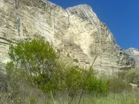 DSC00800.webp