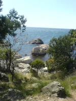 DSC00842.webp