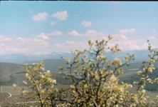 r003-008.webp