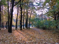 DSC00177.webp