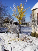 DSC00224.webp