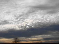 DSC00201.webp