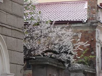 DSC00763.webp