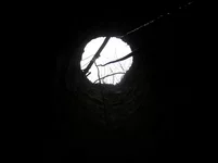 P3110012.webp