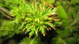 IMG_3616.jpg