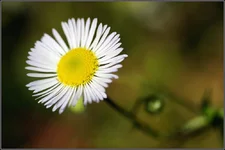 DSC00876.webp