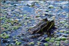 DSC01011.webp