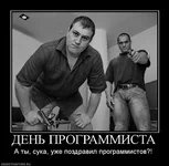 183865_den-programmista.webp