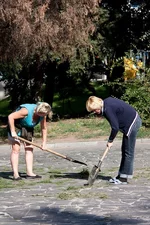 1111.webp