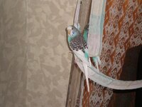Изображение 637.jpg