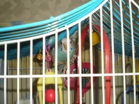  647.webp