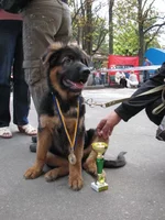 Изображение 116.jpg