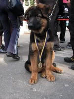 Изображение 194.jpg