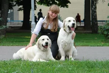 2010 054.webp