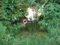 DSC01542.webp