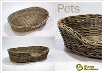 Pets.webp