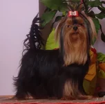 marija.jpg