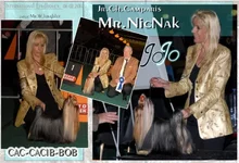 30094_1228935133392_1529491207_31118158_3921240_n.webp