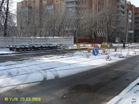 6466008.jpg