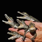 krokodil02.jpg