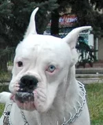 94022-4c449-18210767-h200.webp