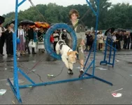 94022-47162-19052113-h200.webp