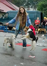 94022-54730-19053986-400.webp
