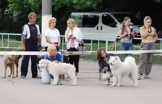 94022-4b2e0-19688215-h200.webp