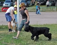 94022-9cb01-19688164-h200.webp