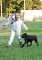 94022-c38d8-19688194-h200.webp