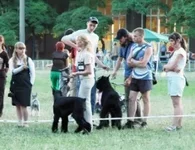 94022-844ad-19688200-h200.webp