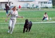 94022-86bd0-19688201-h200.jpg