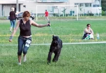 94022-3480b-19688203-h200.webp