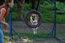 181649-1cc18-21566305-m549x500.webp