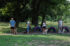 181649-411d7-21684946-m549x500.webp