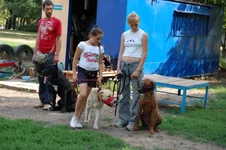 181649-519f2-21684961-m549x500.webp