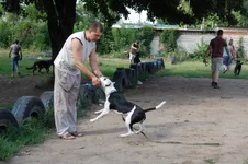 181649-a11cf-21685151-m549x500.webp