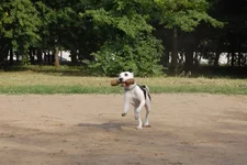 181649-4b600-21685166-m549x500.webp