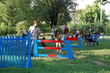 181649-48002-21685195-m549x500.webp