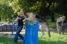 181649-4342d-21685214-m549x500.webp