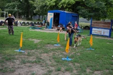 181649-39fa1-21685260-m549x500.webp