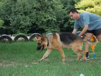 181649-bd166-21685717-m549x500.webp