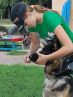 181649-ee3d0-21685734-m549x500.webp