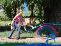 181649-ee51d-21687507-m549x500.webp