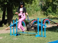 181649-c58d9-23519787-m549x500.webp