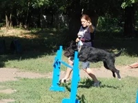 181649-40681-23520015-m549x500.webp