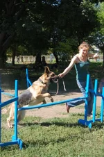 181649-73ae6-23520627-m549x500.webp