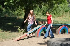 181649-29b24-23696715-m549x500.webp